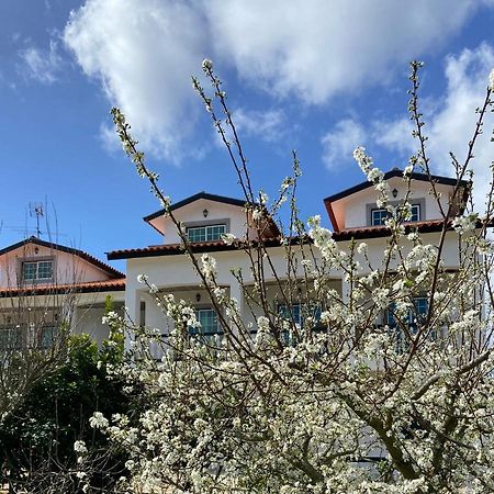 Majo Alojamento Local Bed and Breakfast Tábua Εξωτερικό φωτογραφία