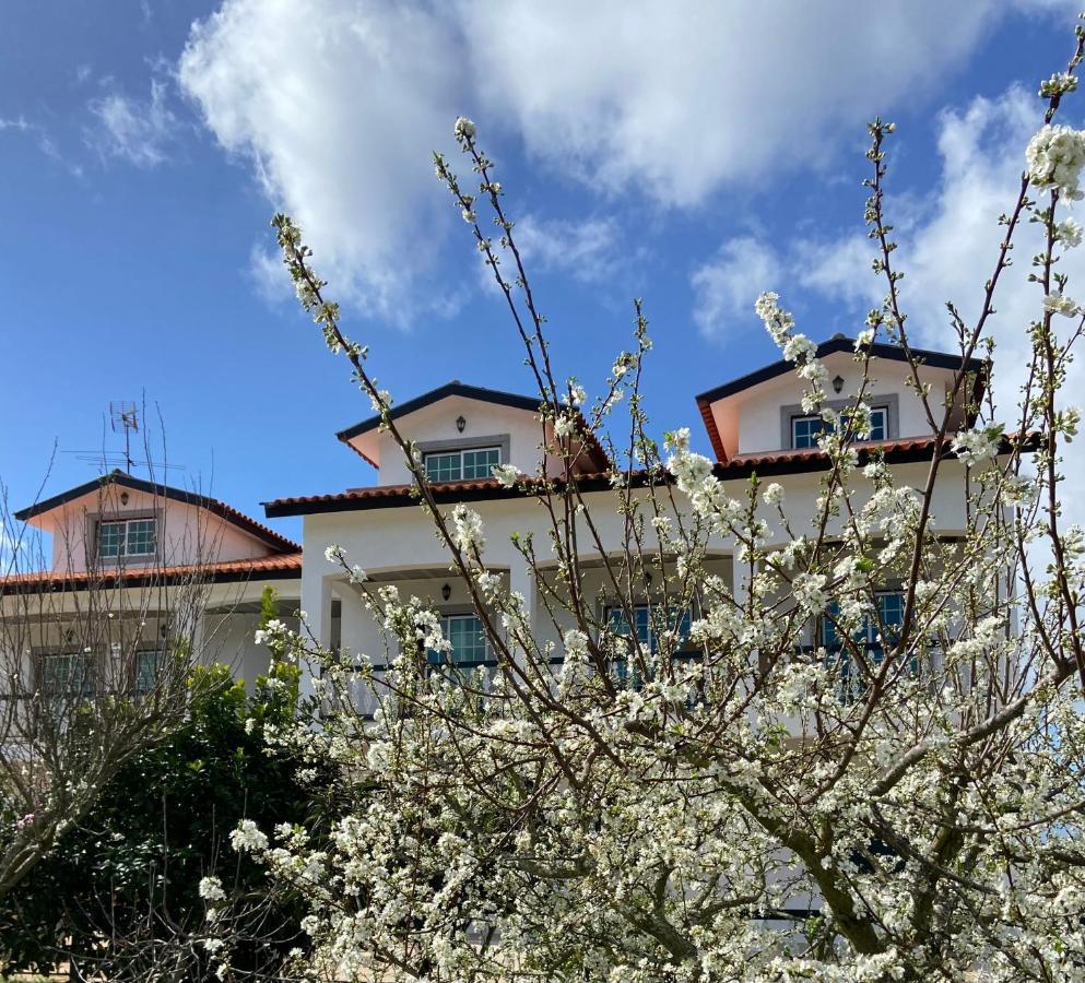 Majo Alojamento Local Bed and Breakfast Tábua Εξωτερικό φωτογραφία